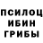 Псилоцибиновые грибы прущие грибы Scott Tovey