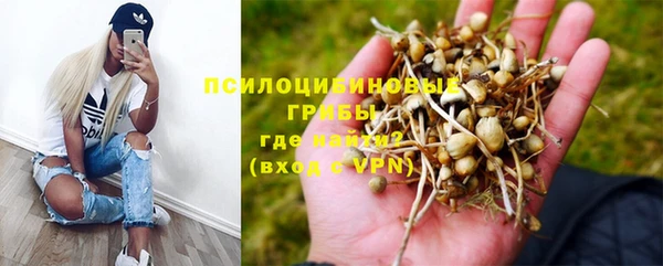 jwh Аркадак